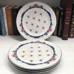 0519 Set of 4 Tienshat Chateau Dinner Plates